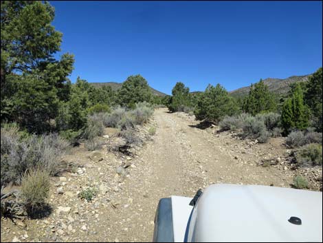 Badger Valley Road