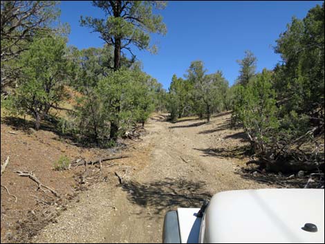 Badger Valley Road