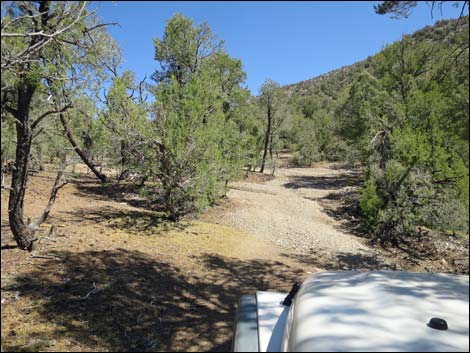 Badger Valley Road