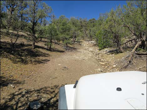 Badger Valley Road