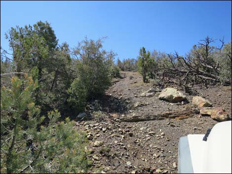 Badger Valley Road