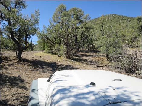 Badger Valley Road