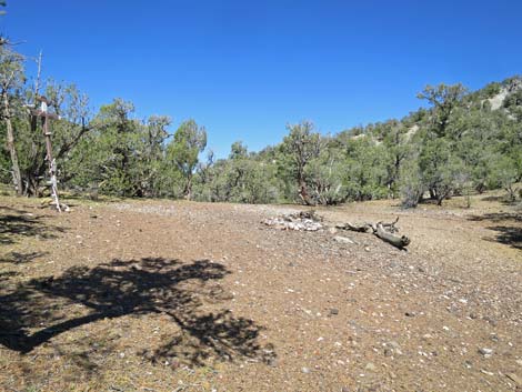 Badger Valley Road