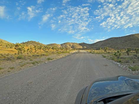 Badger Valley Road