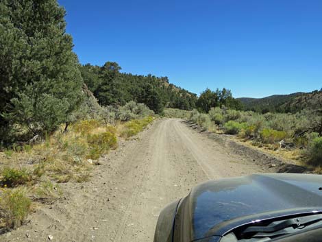 Cherry Creek Road