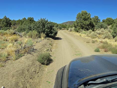 Cherry Creek Road