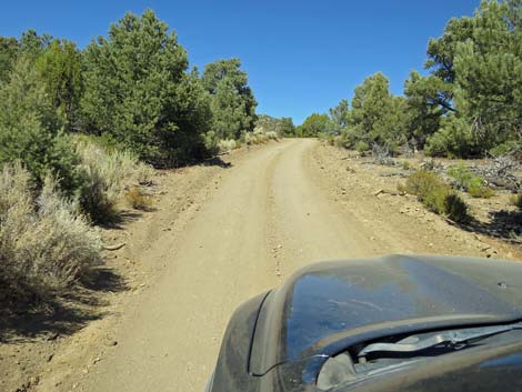 Cherry Creek Road