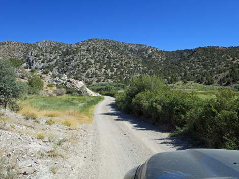 Cherry Creek Road