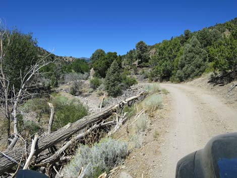 Cherry Creek Road