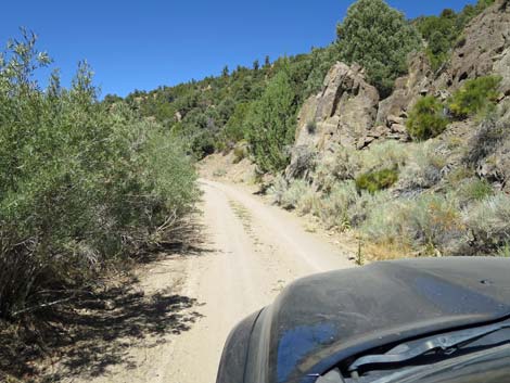 Cherry Creek Road