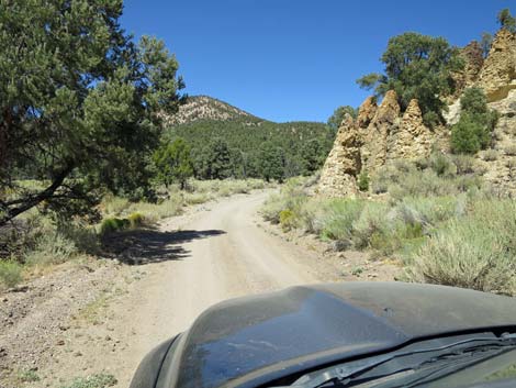 Cherry Creek Road