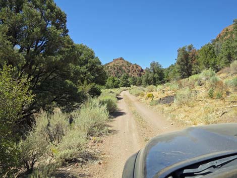 Cherry Creek Road