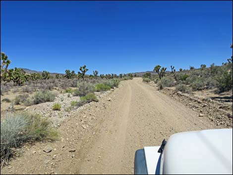 Curtis Canyon Road