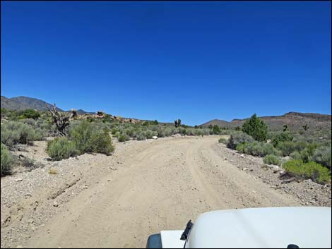 Curtis Canyon Road