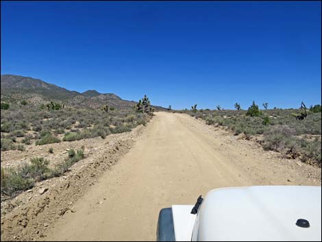 Curtis Canyon Road