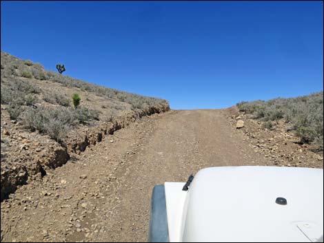 Curtis Canyon Road