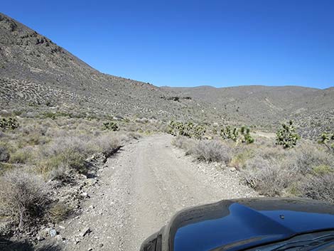 Curtis Canyon Road