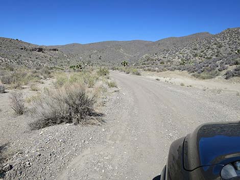 Curtis Canyon Road