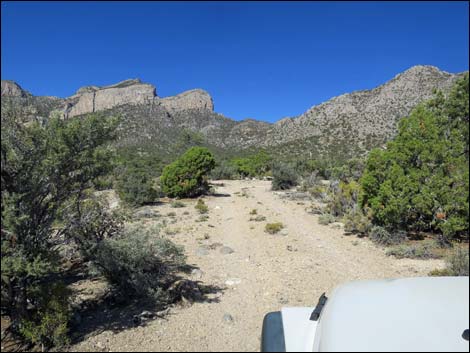 Leviathan Cave Road