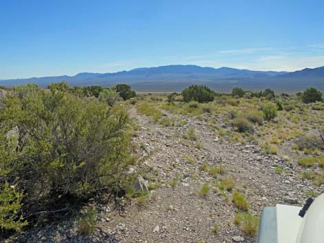 Leviathan Cave Road