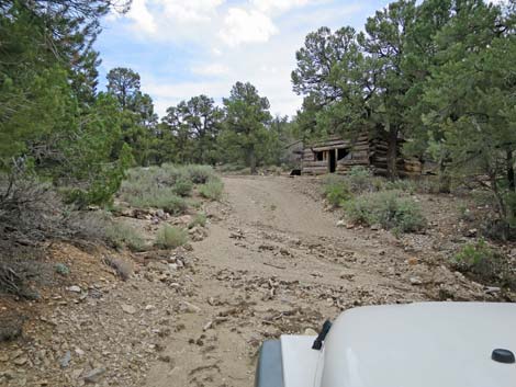 Logan Canyon Road