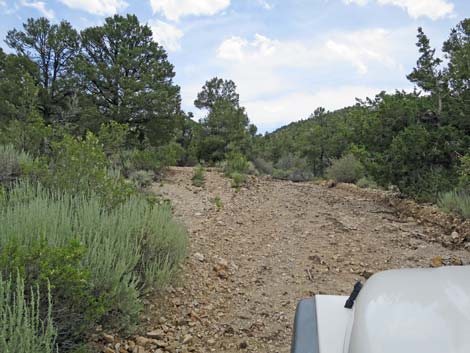 Logan Canyon Road