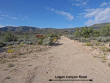 Logan Canyon Road