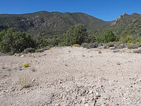 Logan Canyon Road