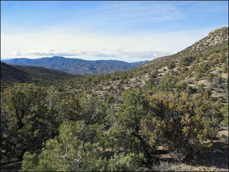 Logan Canyon Road