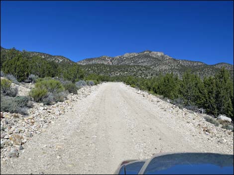 Logan Canyon Road