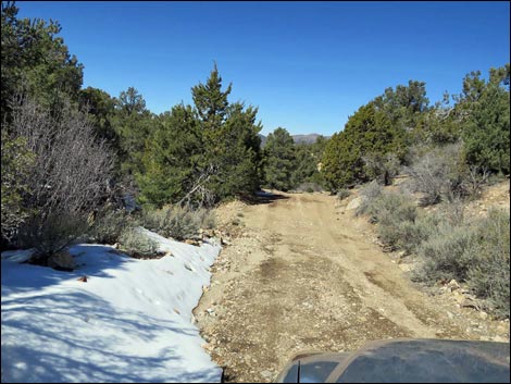 Logan Canyon Road