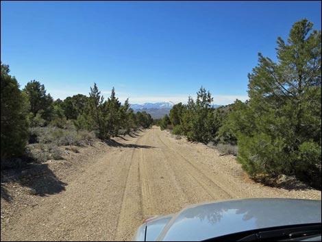 Logan Canyon Road