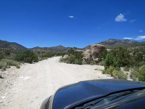 Logan Canyon Road