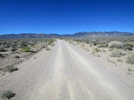 Logan Canyon Road