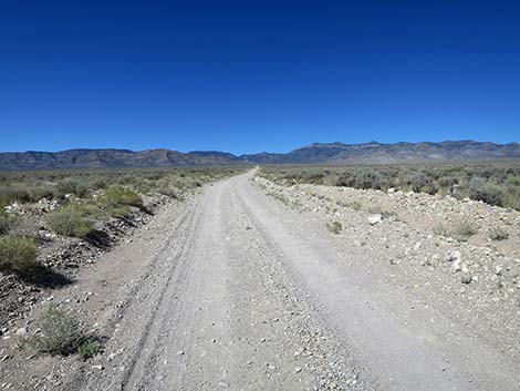 Logan Canyon Road