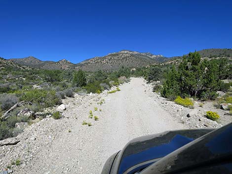 Logan Canyon Road