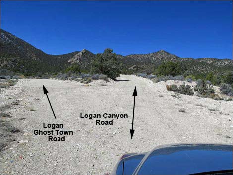 Logan Townsite Road