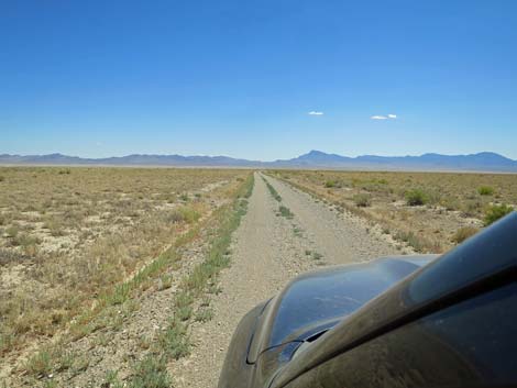 Timber Pass Road