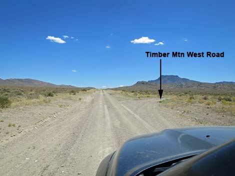 Timber Pass Road