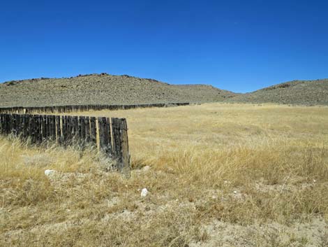 Timber Pass Road