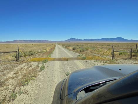 Timber Pass Road