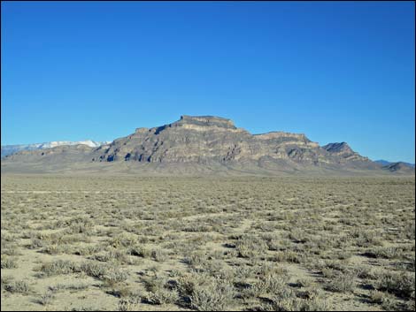 Timber Mountain Pass Road