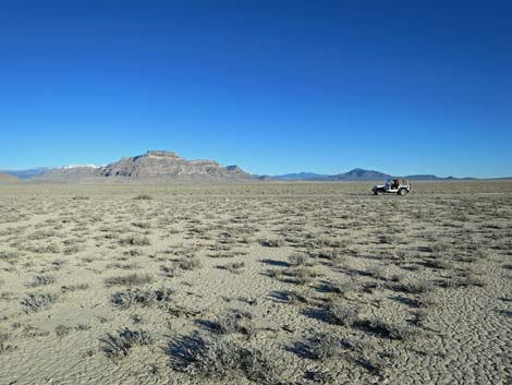 Timber Mountain Pass Road