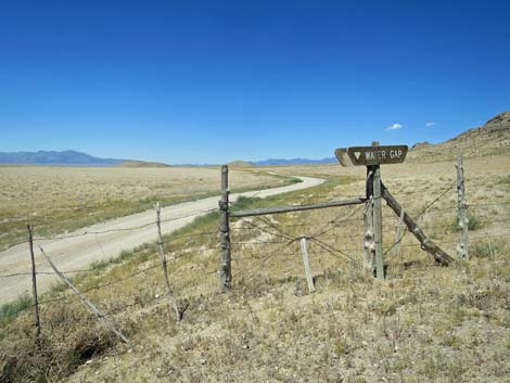 Timber Pass Road