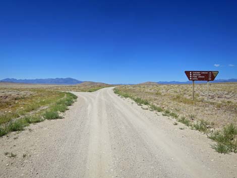 Timber Pass Road