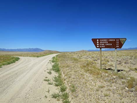 Timber Pass Road