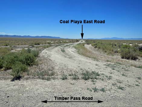 Timber Pass Road