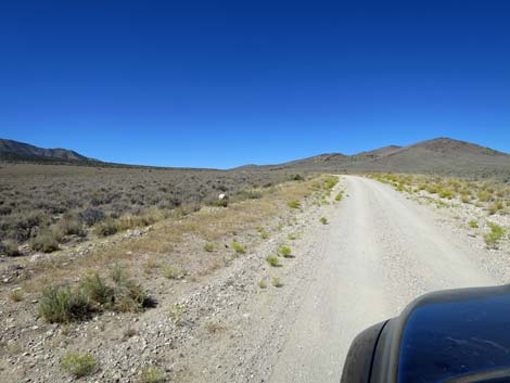 Timber Pass Road