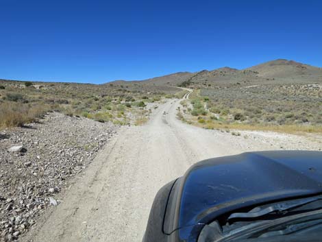 Timber Pass Road