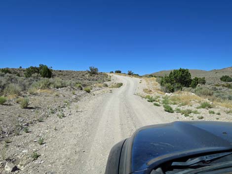 Timber Pass Road